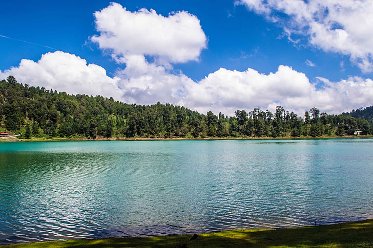 water, forest, blue sky, landscape, sky, nature, lake
