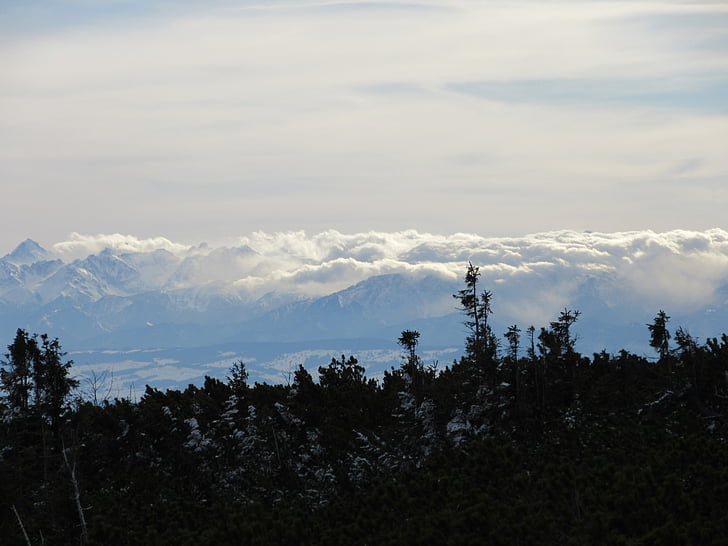 Татри, Бабя отгоре, планини, Словакия, планински, пейзаж, мъгла
