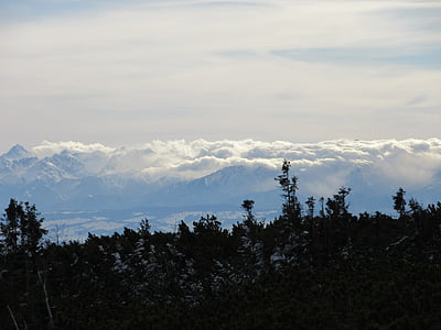 塔特拉, babia 顶部, 山脉, 斯洛伐克, 山, 景观, 雾