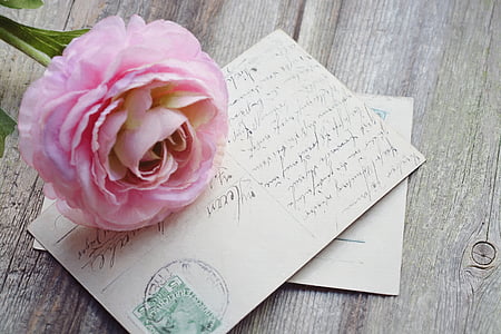 carte postale, carte, police, vieux, Vintage, fleur, Rose