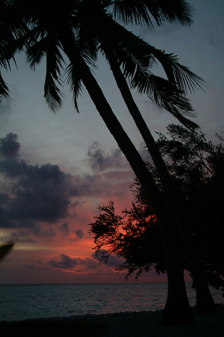 Maldivene, stranden, solnedgang