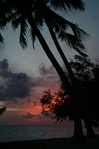 Malediven, Strand, Sonnenuntergang
