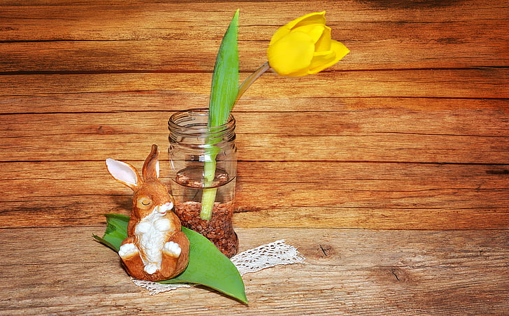 Tulip, màu vàng, Hoa, mùa xuân hoa, Hare, dekohase, gỗ