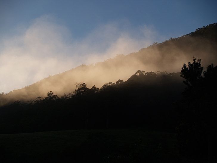 núi, sương mù, buổi sáng, sớm, mặt trời mọc, tăng, ánh sáng