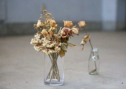 váza, suché květiny, skleněné láhve