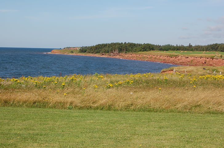 kystlinje, Prince edward island, Canada, landskapet, natur, sjøen, gresset