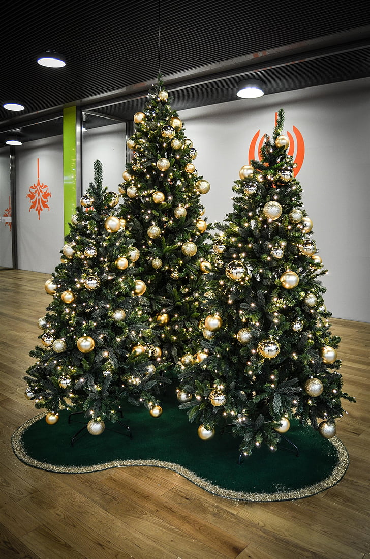 pohon Natal, hari libur, Natal