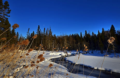 zimski krajolik, Zaleđeno jezero, snijeg, Zima, LED, hladno, boje