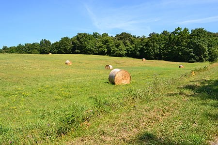 hay bales, fields, hay, field, agriculture, grass, nature
