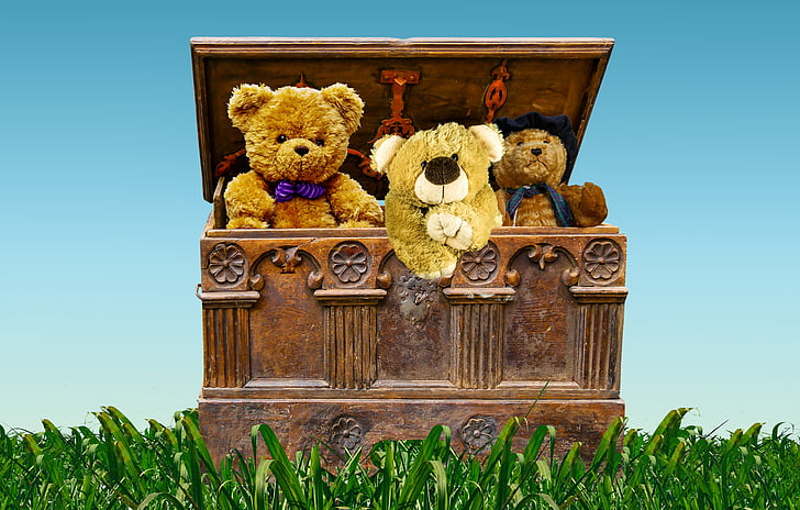 chest, box, treasure, treasure chest, teddy bears, valuable, teddy