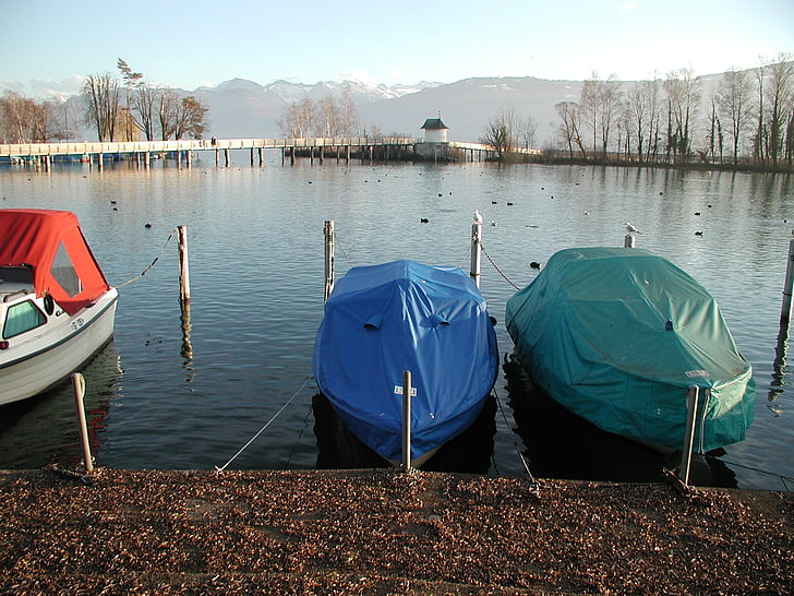 Zürichsjön, båtar, Visa, vatten, naturen, sjön, hösten