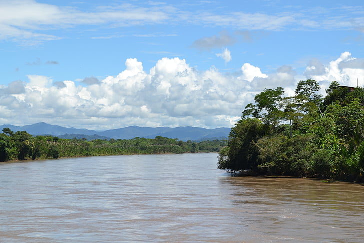 djungel, Peru, floden