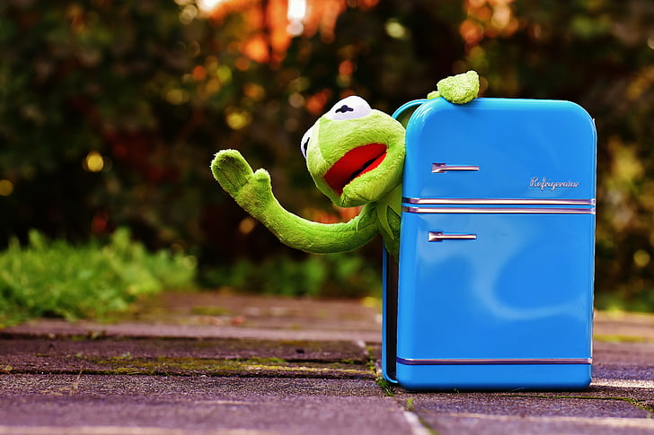 kermit, frog, refrigerator, funny, retro, green, toys