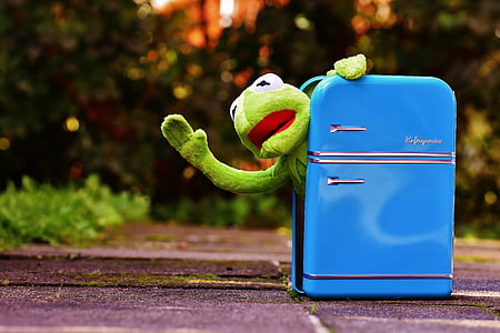 Kermit, Kurbağa, buzdolabı, komik, Retro, Yeşil, oyuncaklar