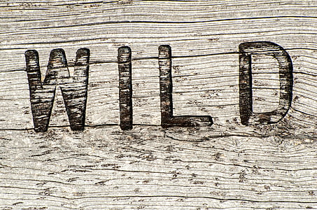 wooden sign, wild, rustic, weathered, sign, wood, wooden