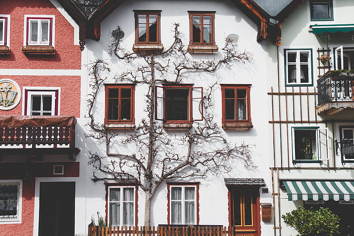 architecture, house, balcony, apartment, tree, branches, nature