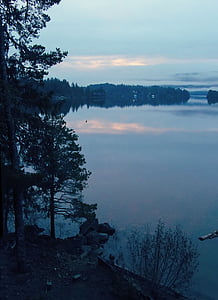 søen, solopgang, refleksioner, træ, silhuet, blå