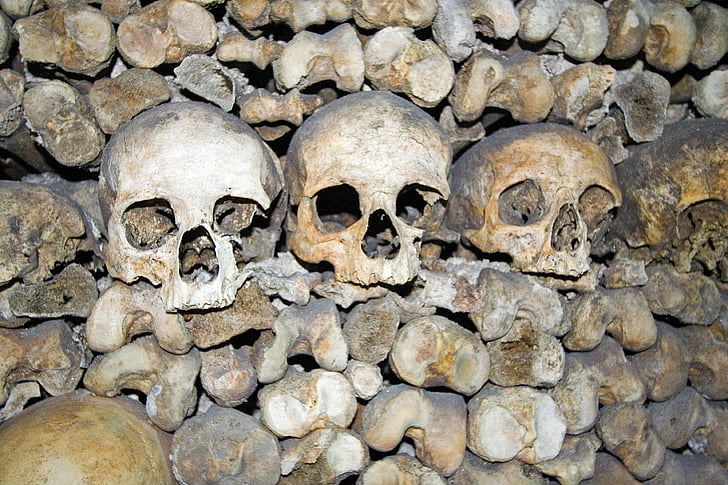 черепа, смерть, кістка