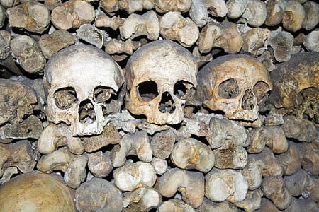 czaszki, śmierć, kości