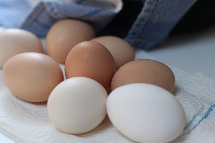 huevos, alimentos, huevos de gallina, huevos frescos, huevos marrones, natural, Desayuno