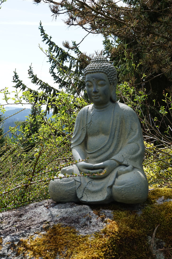 Buddha, trädgård, Asia, Zen, avkoppling, Figur, staty