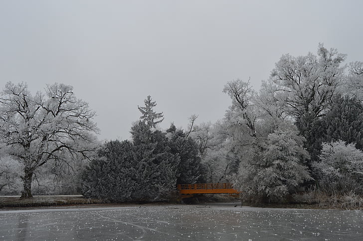 Park, külmkapp, talvel, Bridge, Frost, jää, puud