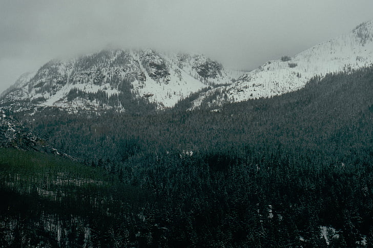 nature, mountains, snow, trees, forest, woods, mountain