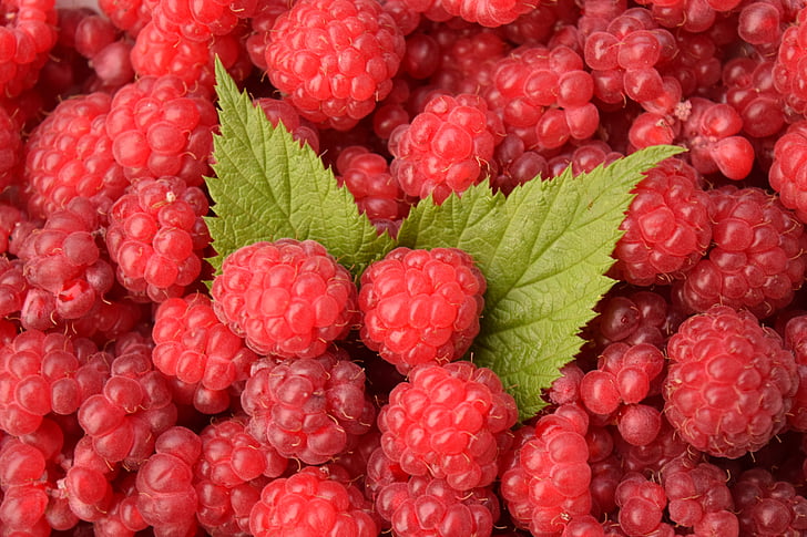 raspberries, background, red, berries, healthy, frisch, sweet