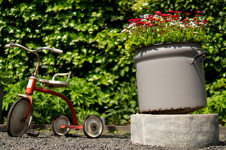 tricycle, pots, flowers, garden, leaves