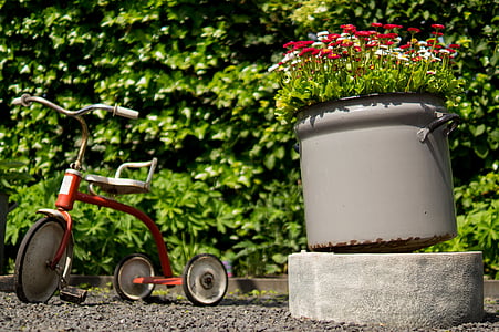 tricycle, pots, flowers, garden, leaves