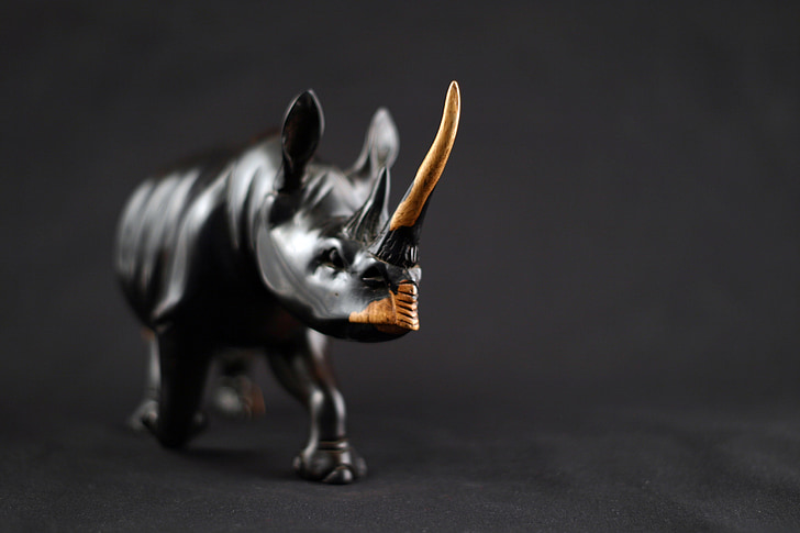 Rhino, sculpture, art, rhinocéros indien, bois