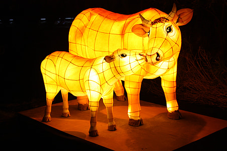 cow, lantern festival, cheonggyecheon stream, kkotdeung festival, isometric article