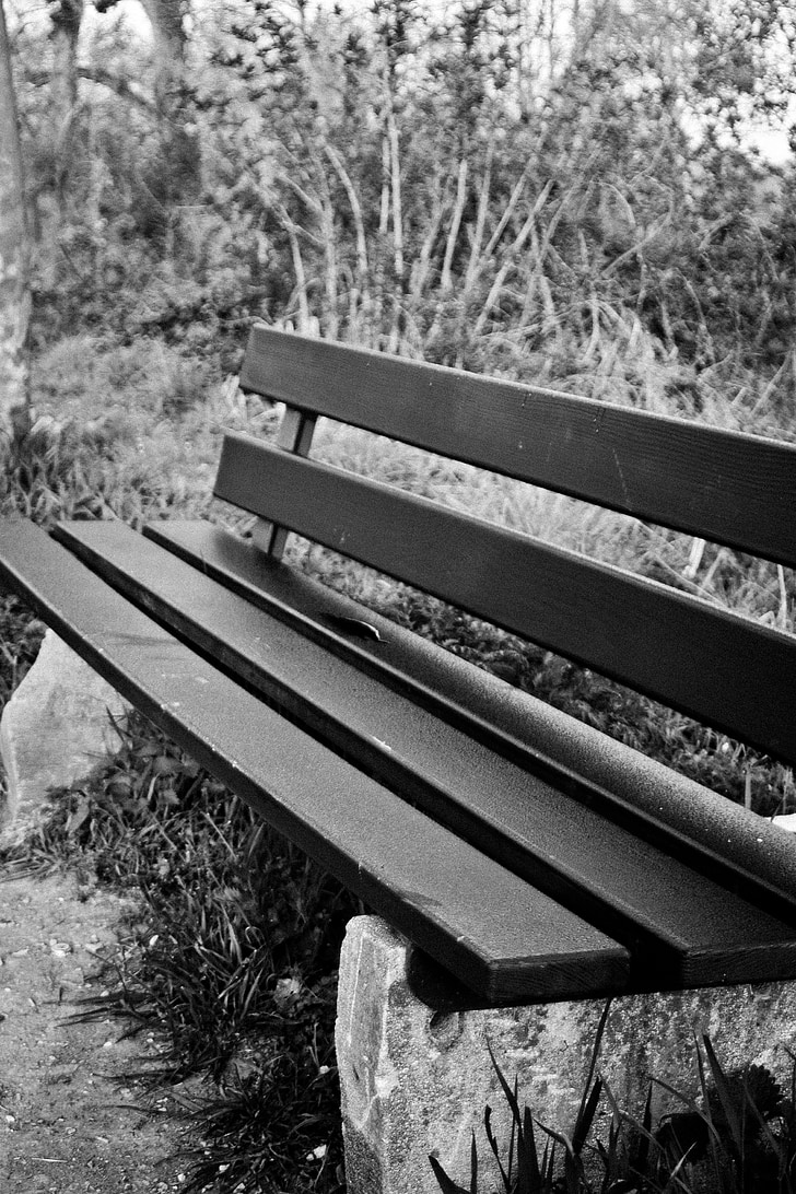 bank, seat, sit, rest, resting place, click, bench