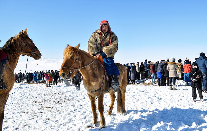 ruiter, Mongools, paard, Azië, natuur, Paardrijden, traditionele