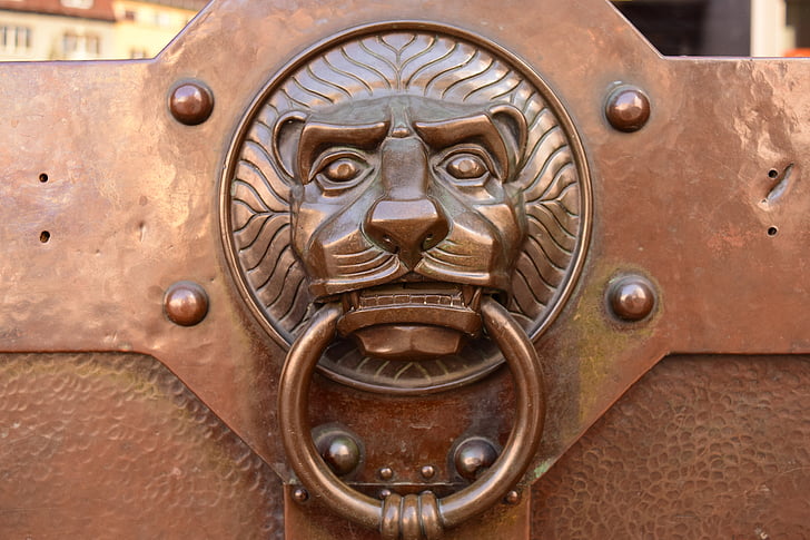 doorknocker, lion head, brass, metal, input, door, old
