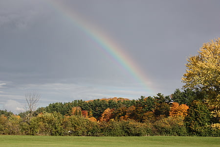 Rainbow, upadek, pozostawia, jesienią liście, krajobraz, niebo, chmury