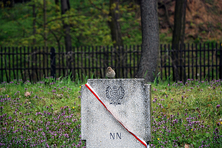begraafplaats, grafsteen, Polen, vogel, geheugen, monument, de oorlog