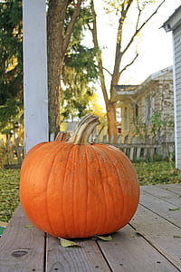 pumpkin, halloween, autumnal, porch, fall, autumn, season
