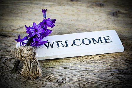 hyacinth, flower, fragrant flower, shield, wooden sign, wood, welcome