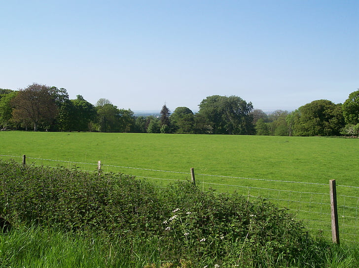 landskab, North downs, Kent, Sittingbourne, land, Park, græs