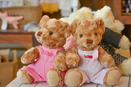 іграшка, ляльки, ведмідь, Тедді, дитинство, плюшевий ведмедик, пухнастий