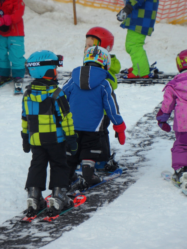 classes d'esquí, nans, neu, esquí, principiants, l'hivern, cobert de neu