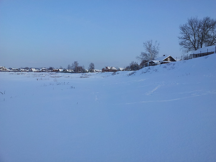 風景, 冬, 村, 冷, ロシア, 雪, 霜