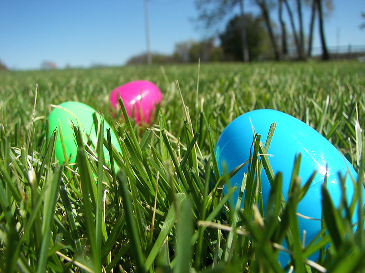 huevo de Pascua, hierba, primavera, vacaciones, Semana Santa