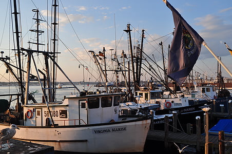 boats, lobster, port, fishing, commercial, seafood, marine