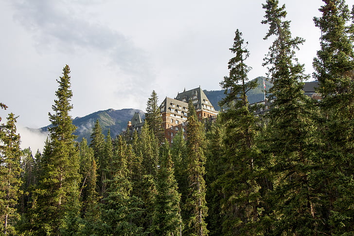 Banff springs hotel, Banff, Alberta, Canadá, floresta, montanha, fuga