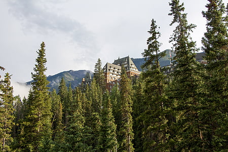 banff springs hotel, banff, alberta, canada, forest, mountain, getaway