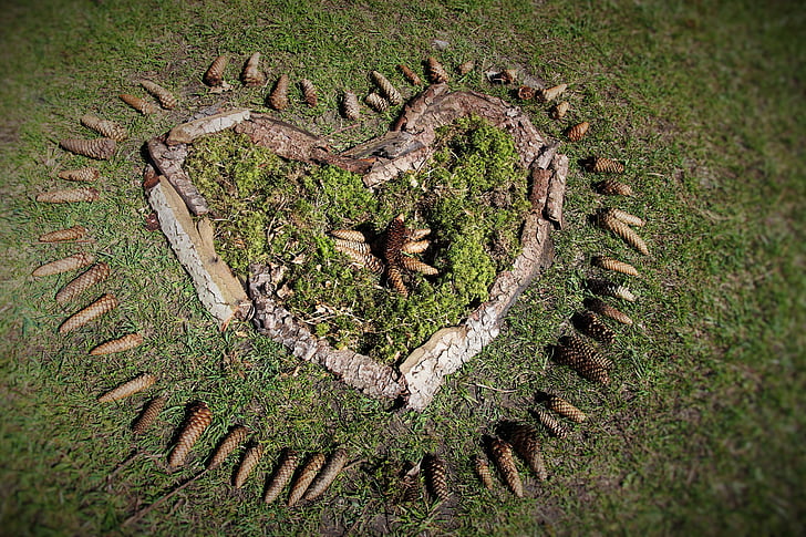lasu, Dotknij, serce, łąka, drewno, miłość, Natura