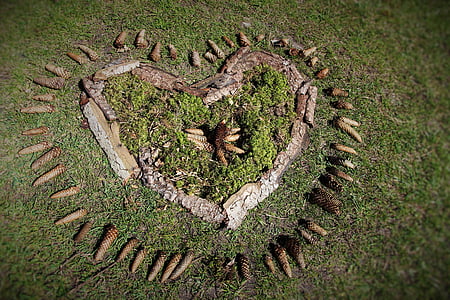 bosque, grifo, corazón, Prado, madera, amor, naturaleza