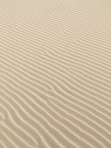 砂, 砂のライン, ビーチ, 草, デンマーク, 自然, 砂丘